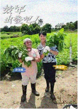 舞台单元完成度评分表更新的概念配图